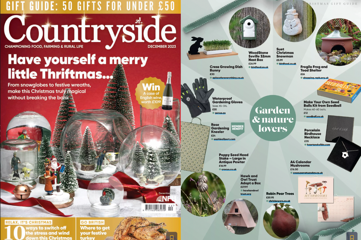 countryside magazine november issue gift guide feature of the Once Upon a Tuesday 2024 Mushroom Calendar