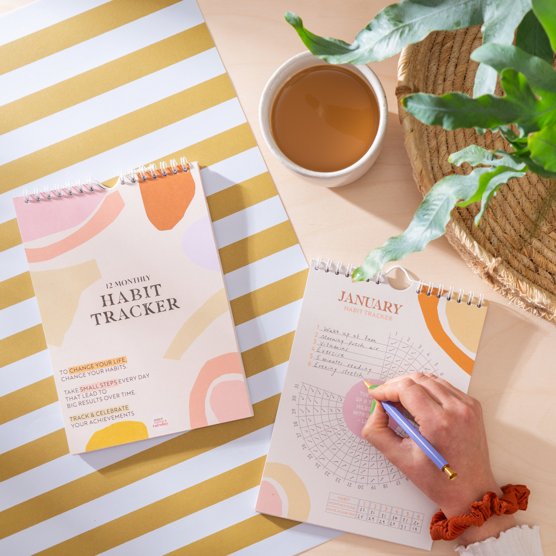 Habit tracker for New YEars Resolutions