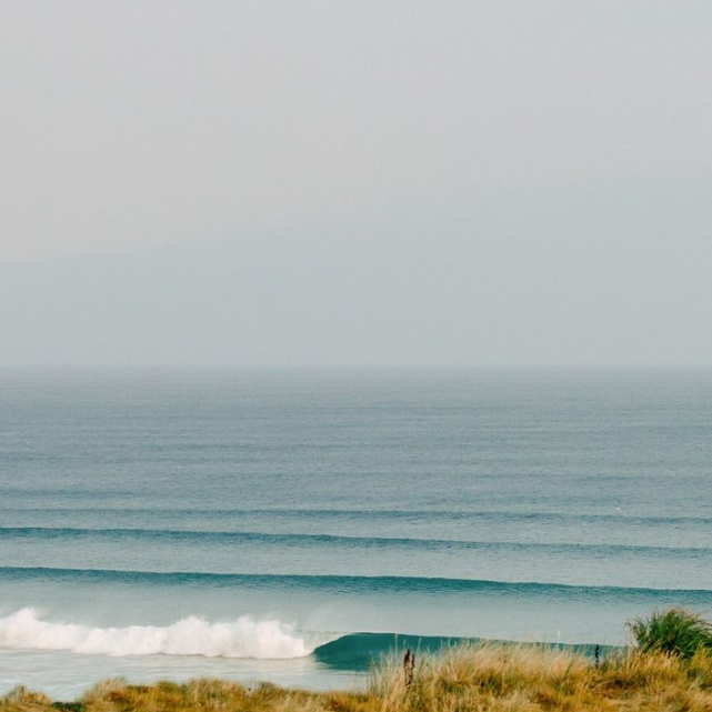 Six Brands Doing Black Friday Differently