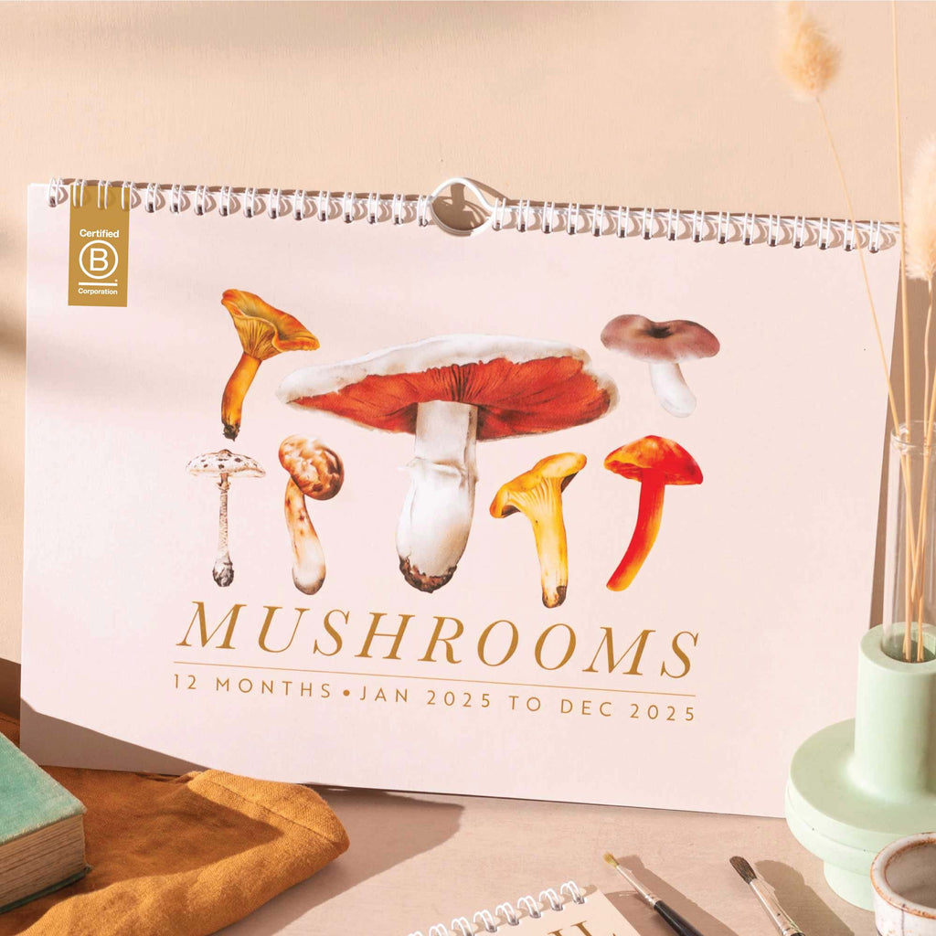 2025 calendar. A4 planner. mushrooms. recycled paper calendar. stationery made in the UK.