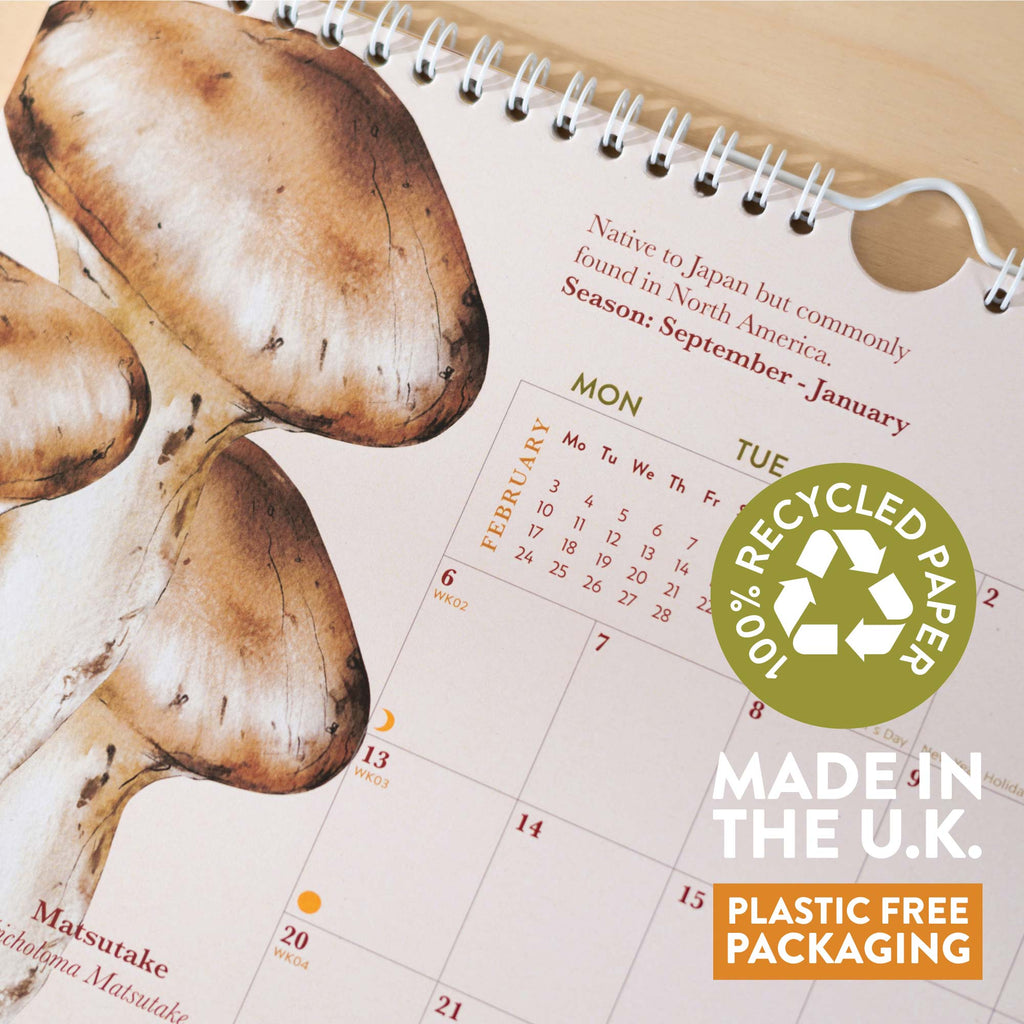 2025 calendar. A4 planner. mushrooms. recycled paper calendar. stationery made in the UK.