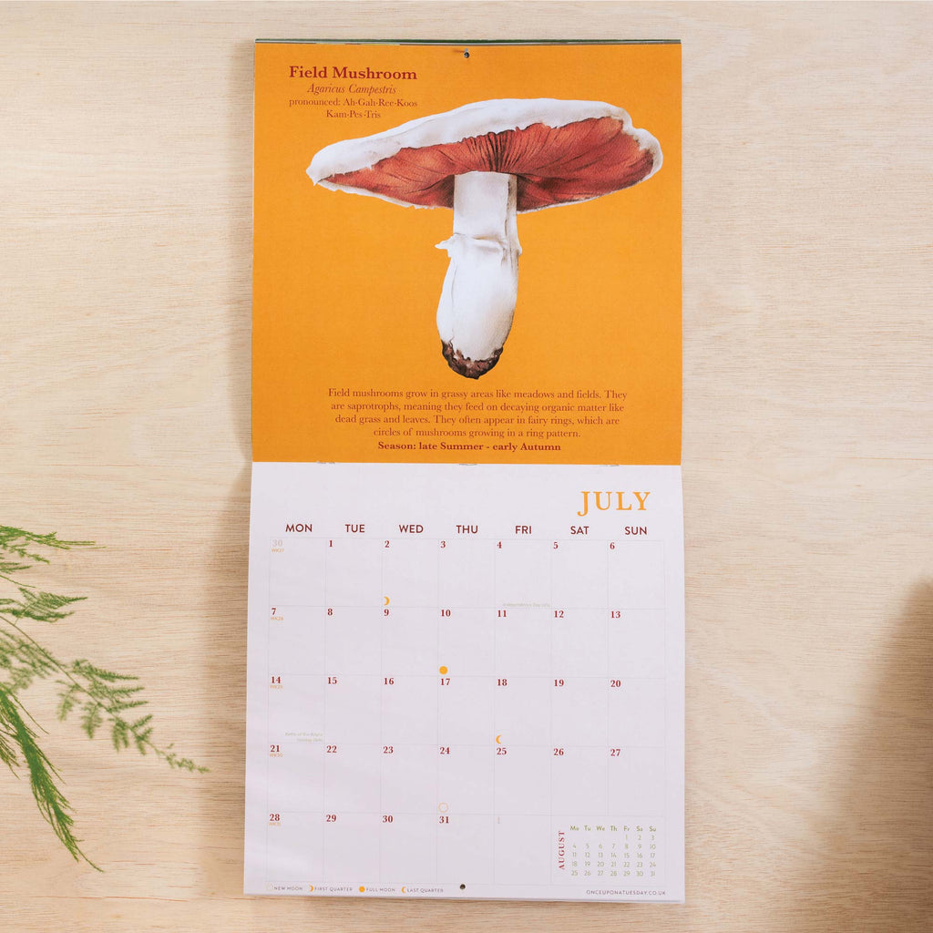 Fungi Art. Mushroom Calendar. 2025 large square calendar. Art planner. illustrated calendar. 100% recycled paper. Made in the UK.